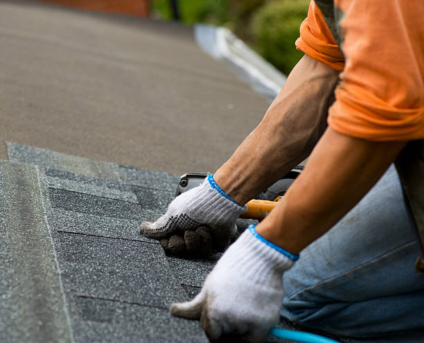 Best New Roof Installation  in Salem, AR