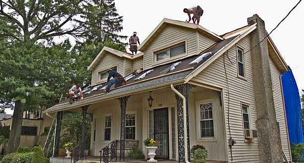 Best Metal Roofing Contractor  in Salem, AR